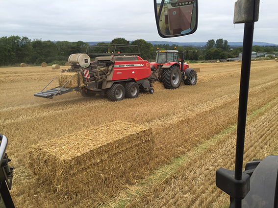 big bales