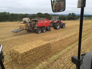 big bales