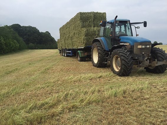 load of haylage