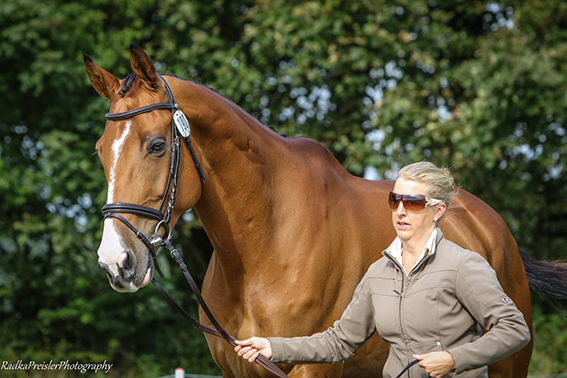 trot up
