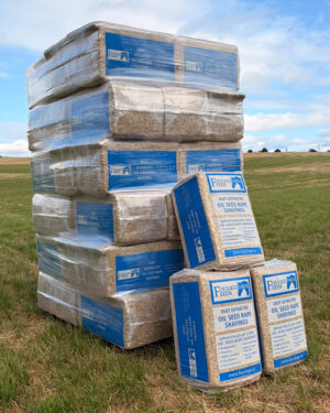 OILSEED RAPE SHAVINGS