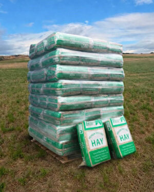 Dust Free Hay