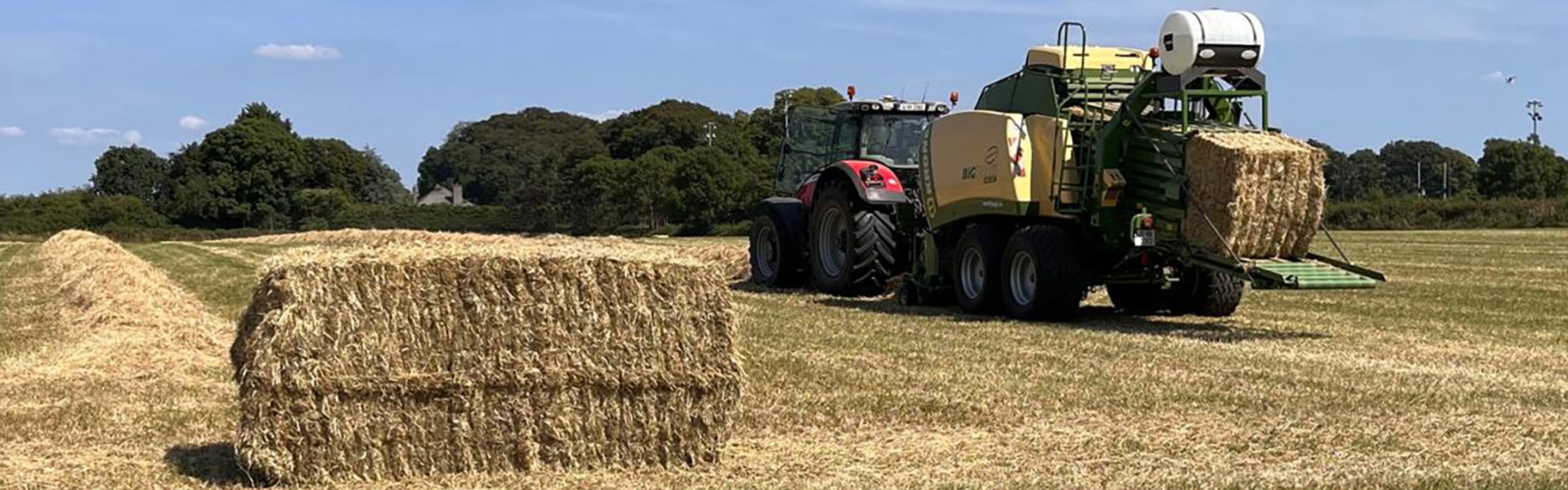 dust free hay banner